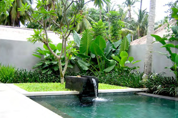 Kayumanis - Jimbaran