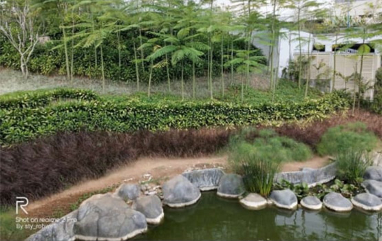 Uber Sari Kertalangu Landscape Contractor Bali Project 1