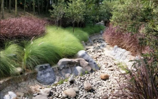 Uber Sari Kertalangu Landscape Contractor Bali Project 1