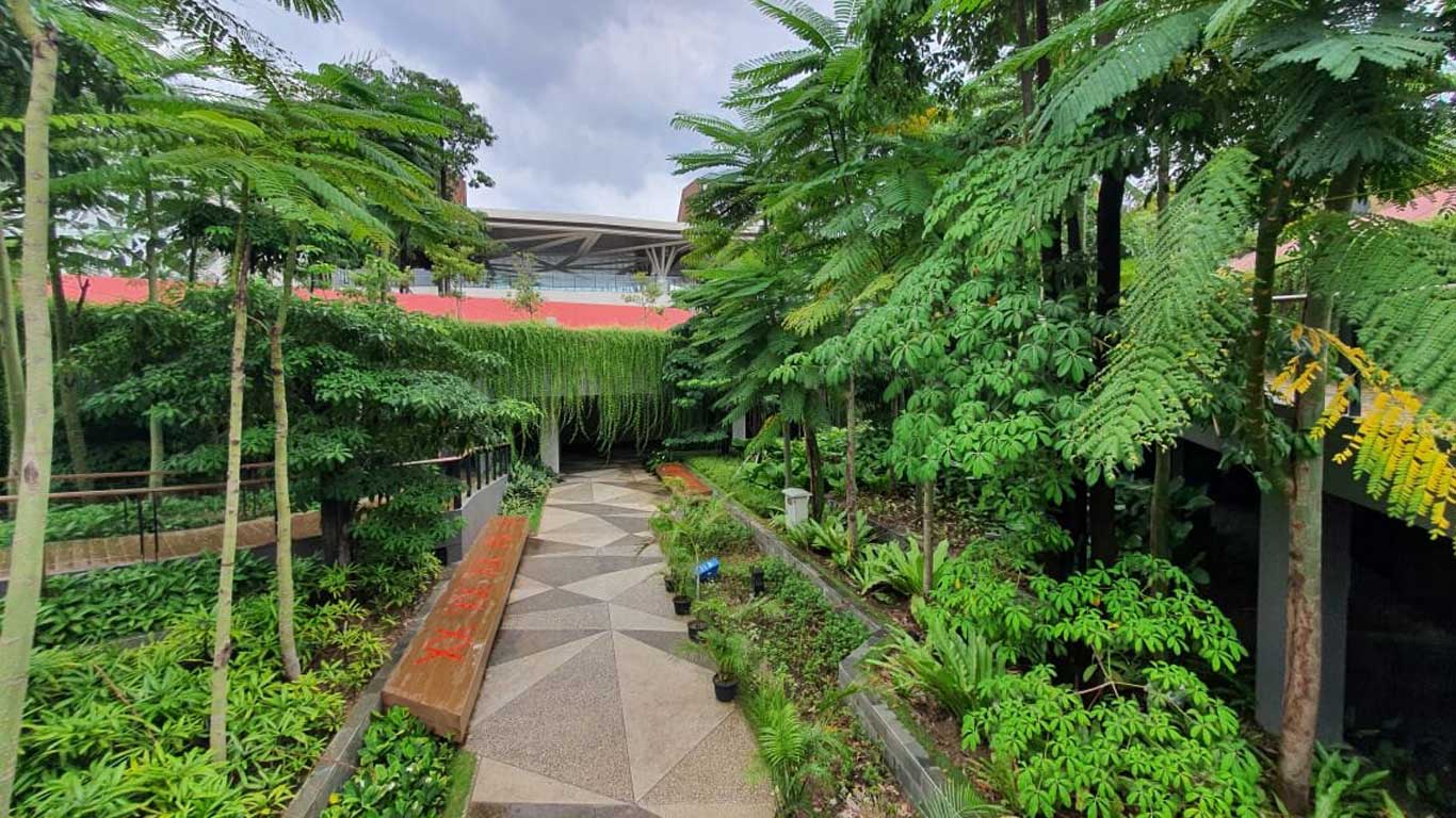 uber-sari-kertalangu-landscape-kontraktor-bali-2